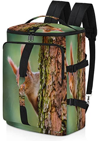 Lustiger Eichhörnchen-Sport-Rucksack für Männer und Frauen, Eichhörnchen, niedlich, Seesack mit Schuhfach für Fitnessstudio, Reisen, Wandern, Rucksack, multi, Einheitsgröße, Sportlich