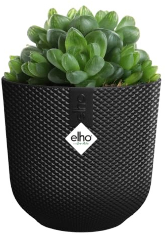 elho Jazz Round Mini 11cm - Small Indoor Plant Pot - 100% Recycled Plastic - Ø 11.1 x H 10.3 cm - Black/Living Black