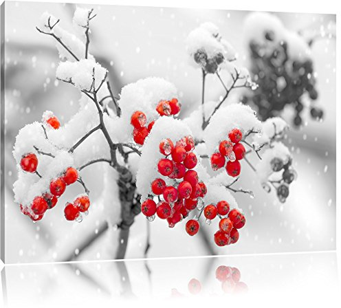 Pixxprint Rote Vogelbeeren im Winter B&W, Größe: 80x60cm, Leinwandbild, fertig gespannt, Wandbild, Dekoration, Kunstdruck, kein Poster