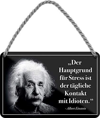 WOGEKA ART Retro Blechschild - Albert Einstein Hauptgrund für Stress sind Idioten - witziger Spruch Geschenk-Idee Geburtstag Weihnachten Dekoration 18x12 cm Vintage-Design Hänge-Schild HS464