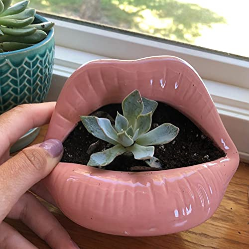 Lèvres En Forme Céramique Cache-pot Jardinière,Mini Céramique Succulente Pot,Sexy Bouche Ouverte Pots De Fleurs Cactus Pots De Plantes Accueil Bureau Jardin Extérieur Décor Lèvres -Rose b 13x11cm(5x4i