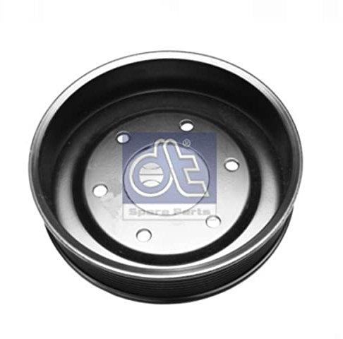DT Spare Parts 4.63030 Riemenscheibe, Wasserpumpe, D: 166 mm, W: 40 mm für LKW, Bus