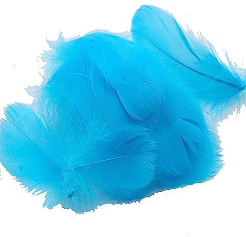 Yurosiay 100 Stück Bunt Federn Natürliche Federn Handwerk Gänsefeder Bunt Federn Deko Federn zum Basteln Flaumfedern Bastelfedern Deko für DIY Ohrring Kopfschmuck Traumfänger 6-12cm Bunt
