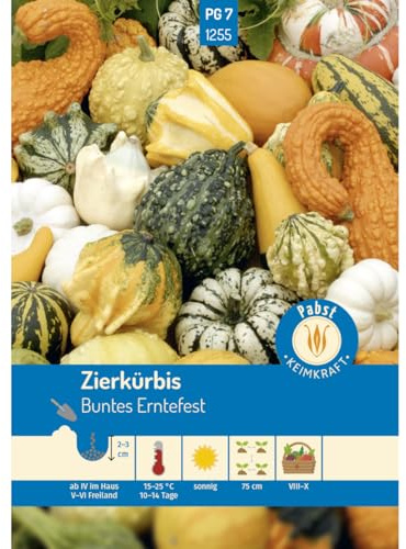 Pabst Keimkraft - Zierkürbis Buntes Erntefest Samen - 171255