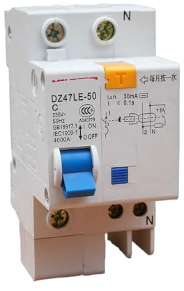 IYNWBJTS Disjoncteur Miniature DZ47LE-63, Interrupteur d'air for Chauffe-Eau électrique, Interrupteur de Protection Contre Les fuites et Les Chocs électriques 1p40A(25A)