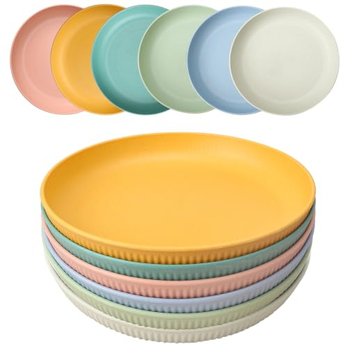 HQCM Pack of 6 Plastic Plates, 23 cm Large Camping Plates, Unbreakable Picnic Tableware Plate Set, Reusable Plastic Plates, Microwave Dishwasher Safe, Deep Colourful Grill Plates for Salad, Pasta