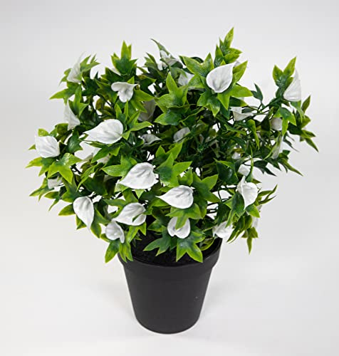 Seidenblumen Roß Callabusch/Callapflanze 32cm im Topf JA Kunstblumen künstliche Calla Blumen Pflanzen Blumen (Weiß)