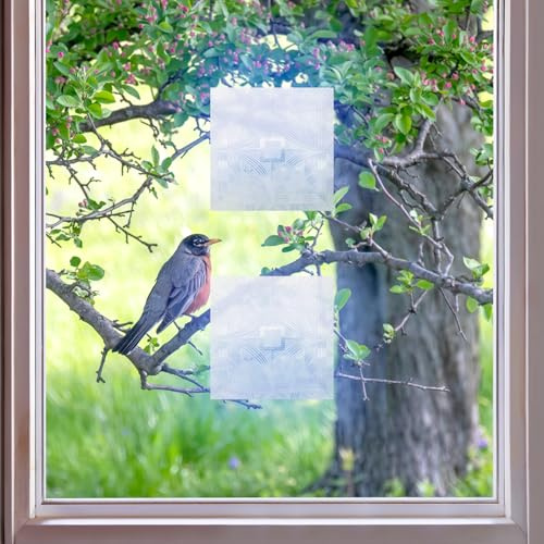 Artscape Bird's Eye View | UV-Reflective Anti-Collision Window Film | Protects Birds from Glass Collision | Four-Pack | 6 x 6 Inches Each | Made in USA