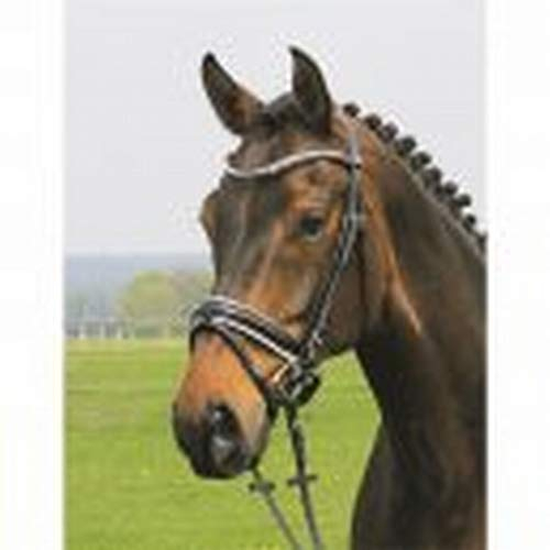 Hans Melzer Horse Equipment Trense Hagen, schwarz/weiß unterlegt, Vollblut