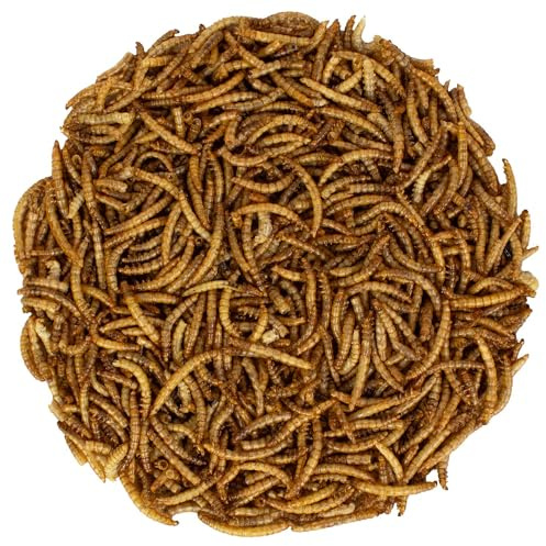 vogeltreff24 Mehlwürmer getrocknet 5kg - für Vögel, Nager, Reptilien und Fische - proteinreiches Futter - höchste Qualität