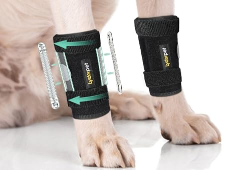 Lyderpet Vorderbeinbandage für Hunde, stützt, Karpalbandage, verhindert Verletzungen und Verstauchungen, schützt Karpusgelenkwunden, heilt und hilft bei Verlust der Stabilität durch Arthritis.