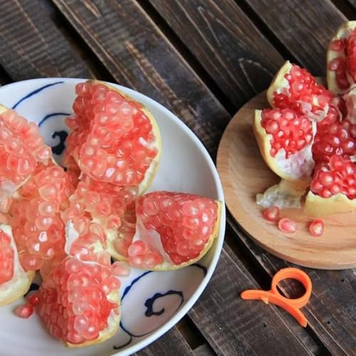 semi resistenti del melograno - aiuole rialzate per giardino da colonnari 50pcs