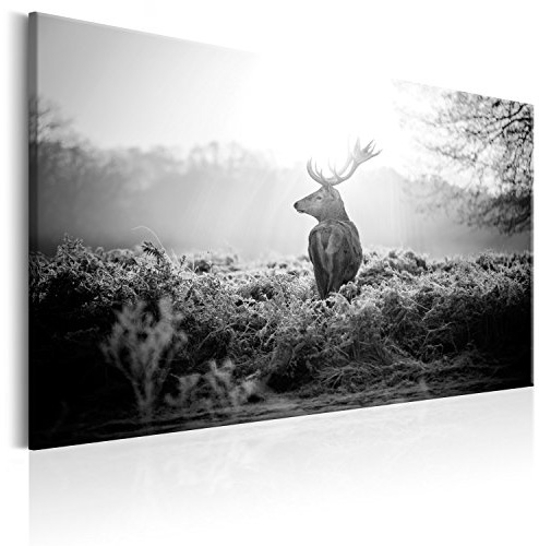murando - Leinwandbild Natur Tier Landschaft, 120x80 cm, 1-teilig, modern | Hochwertige Leinwand, sofort aufhängbar, ideal fürs Wohn- oder Schlafzimmer, wasserfest und lichtecht, langlebig, stilvoll