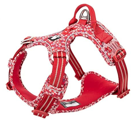 WINHYEPET Truelove No-Pull-Hundegeschirr, Baumwollgewebe atmungsaktiv und reflektierend weich, verstellbar zum Laufen, Spazierengehen, geeignet für kleine mittelgroße Katzen Hunde TLH5655