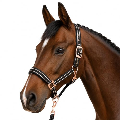 Halfter für Pferde mit Glitzer in Rosegold, Halfter Pferd in schwarz und pink, 2-Fach verstellbar (Schwarz Rosegold, Pony)