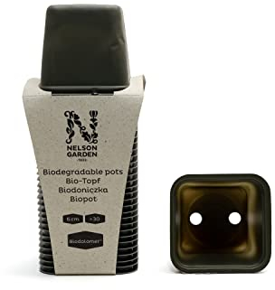 Nelson Garden 1933 Bio Anzuchttöpfe - biologisch abbaubar - Zuchttopf eckig - Pflanztöpfe, 30 Stück: 6cm breit x 5.5cm hoch (Verschiedene Größen verfügbar)