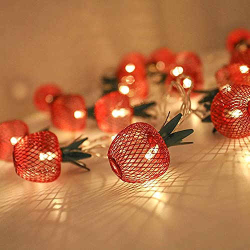 WONFAST 2M/6.6Feet 10LED Iron Apple Fruit Shape String Light Metal Mesh Fairy Lights Battery Operated Twinkle Lamp for Bedroom Wedding Indoor Outdoor Home Party Decoration