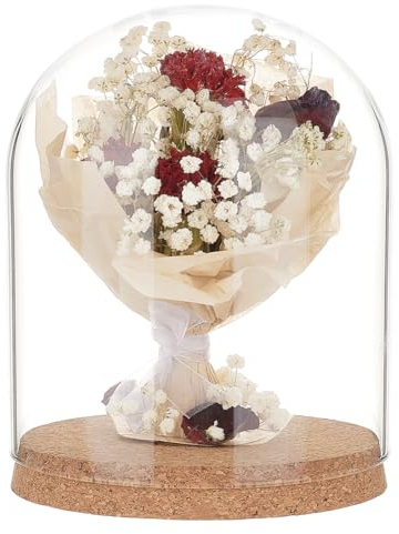 BENECREAT Campana de cúpula con pantalla de cristal, 19 x 15 cm, gran campana de cristal arqueada, vasos decorativos con base de corcho para plantas de flores, muestras, decoraciones de manualidades,