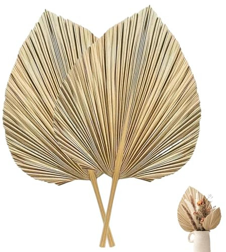 2 Hojas de Palma secas Decorativas 45 x 25 cm Hojas Tropicales Estilo Bohemio de Palma Grandes para arreglos de Mesa en jarrones de Boda.