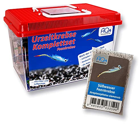 PREMIUM Feenkrebse Komplett-Set: mehr als 1000 Urzeitkrebs Eier, 6 l Becken, LED-Beleuchtung, Luftpumpe, Filter, Kescher, Heizung, Zubehör, Zuchtansatz, Futter, Anleitung, Streptocephalus siamensis