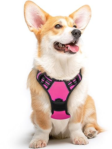 Eagloo Harnais Chien, Harnais Anti Traction pour Chien, Rose Rouge, M | avec Poignée Contrôle, Bandes Réfléchissantes, Maille Respirante Solide, Facile à Mettre, Réglable, pour Chiens Moyens Grands