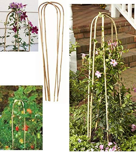 Garden U-Hoop Bamboo Trellis Stakes Ideal For Flowers vegetables Plants Support Tomato Plants staking Gardener Essentials Decorative and Functional Uses- Pack of 3