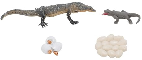 CUOFYUNL 4 Piezas Lagarto Ciclo De Vida Juguete PVC Realista Educativo Reptil Animal Crecimiento Ciclo Juguete