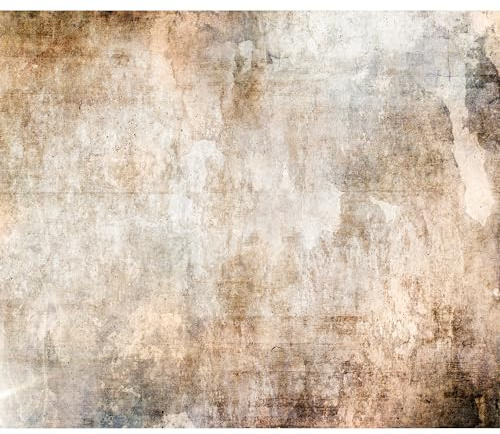 murando - Fototapete Vlies Betonoptik, 500x350 cm, Schlafzimmer, Wohnzimmer | Full HD Druck, 3D-Effekt, lichtbeständige Farben, ideal fürs Wohn- oder Schlafzimmer, schnelle Montage, lichtbeständig, edel