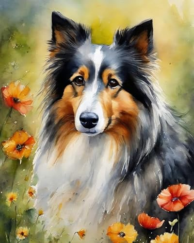 ZMHZMY Malen nach Zahlen DIY Handgemalt Ölgemälde Kits für Erwachsene Anfänge Shetland-Schäferhund, Sheltie-Hund Malen Nach Zahlen Kits für Geschenk Home Deko 40x50cm(Rahmenlos)