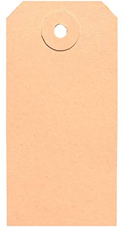 BT-Label 1000 Anhängeschilder 45 x 90 mm mit Loch (verstärkte Kartonöse), als Warenanhänger, Kartonanhänger, Anhängezettel, Papier-Anhänger, Anhängeetiketten