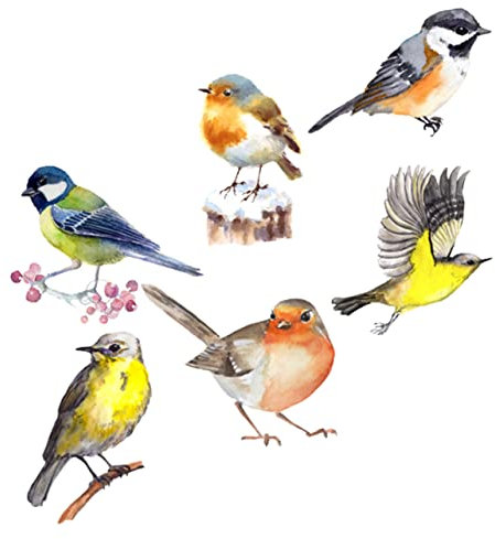 Zerodeko 1 Satz Anti-Vogel-Aufkleber Fensteraufkleber für Glasfenster Glas haften Dekor Ornament Anti-Kollisions-Fenster haften PVC-Fensterfolie Weihnachten Applikationen Vögel schmücken 3d