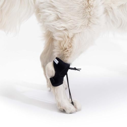 Ortocanis - Korrekturhilfe für Hunde - Knuckling, Myelopathien, Wirbelsäulenverletzungen - Korrigiert Pfotenhaltung, verhindert Verletzungen - Spezialisten Barcelona - Größe: L 14-20 cm
