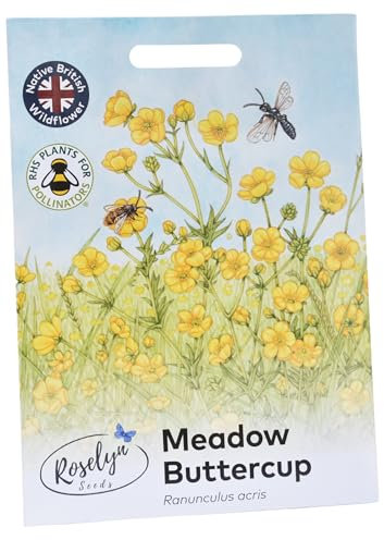 Roselyn Seeds Meadow Buttercup Seed | Perennial Wildflower Seeds for Planting Spring & Autumn | 3 Grams, Approx. 1200 Seeds