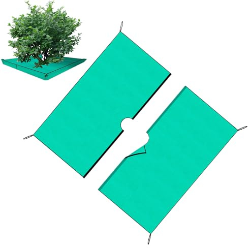 Holdes Bâche de jardin, anti-mauvaises herbes, robuste, imperméable, 200 x 200 cm, pour parterres de fleurs, pelouse et allée