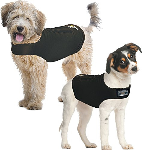 ZenPet ZenDog ångest hund väst lugnande kompressionströja X-Large