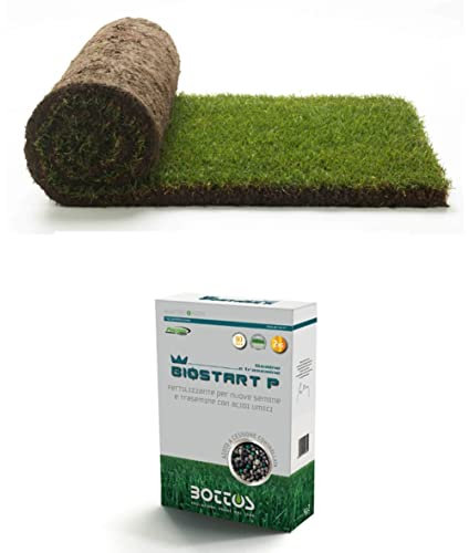 Prato pronto a rotoli in erba vera - 50 mq + Fertilizzante Bottos Biostart P (50 mq)