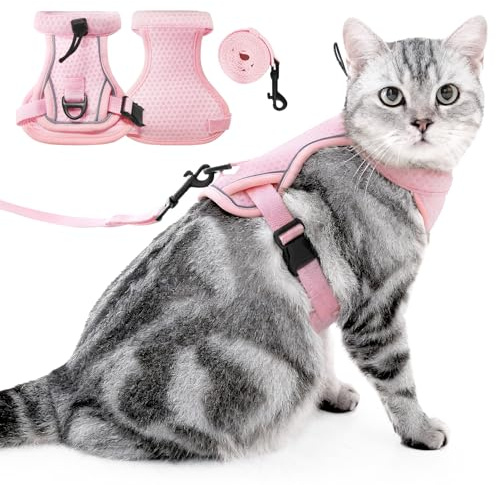 PAWIVID Katzengeschirr und Leine Set - Ausbruchsicher, Verstellbare Katzenweste mit Reflektierenden Streifen, Einfache Kontrolle und Sicheres Gehen für Katzen Reise Kätzchen Halsband (Rosa, S)