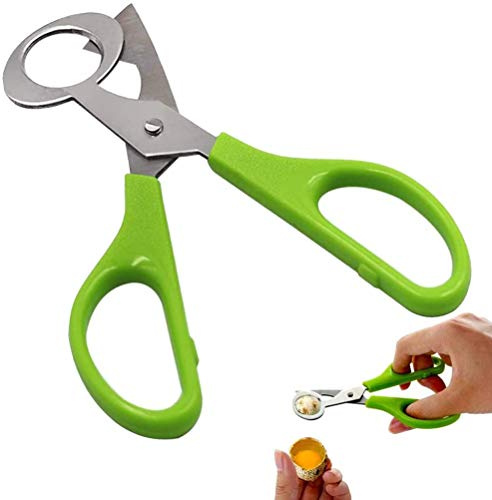 OVAQUIXI Forbici per Uova di Quaglia in Acciaio Inossidabile Taglia-guscio D' Apri- Gadget da con Manico in ABS per Tagliare Uova Piccole (Colore assortito)