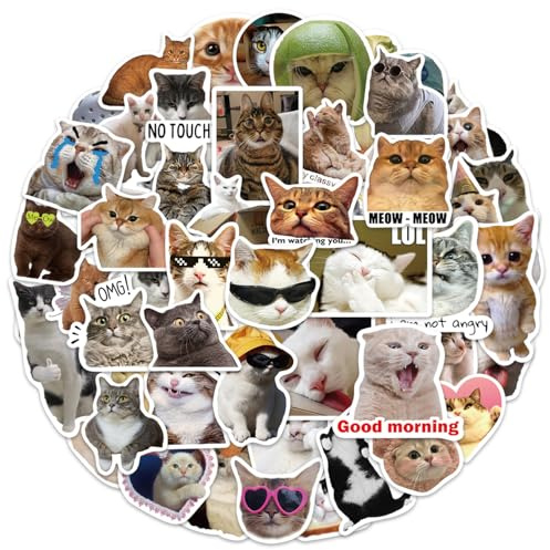 Lustige Katze Aufkleber 50 Stück, Funny Meme Cat Sticker Set für Laptop Wasserflasche Koffer Gepäck Skateboard Helm Handyhülle Tagebuch, Vinyl Graffiti Stickers für Erwachsene Jugendliche