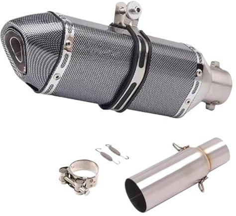 Moto Silenziatore Posteriore Per P&IAGGIO Per BEVERLY 125 300 MP3 125 250 300 LT X10 2008-2016 Silenziatore Di Scarico Centrale Per Moto(Type D)