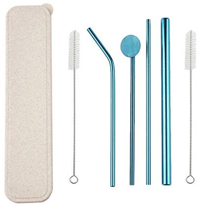Katpost Pailles en Acier Inoxydable - Métal Réutilisable Éco INOX - Pailles à Boire Accueil Réutilisable écologique avec 2 Brosse de Nettoyage- Multicolore