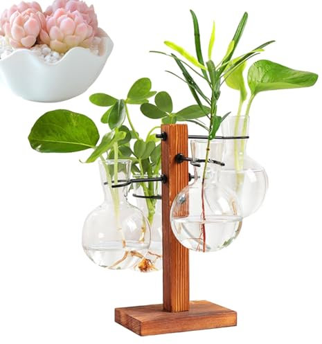 Vaso per bulbo per fioriera in vetro con stazione di propagazione moderna delle piante con supporto in legno Kit per fioriera da tavolo, terrario per fioriera ad aria, arredamento moderno p