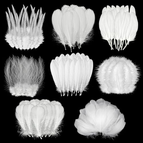 300Pcs White Feathers for Crafting 8 Styles Pheasant Craft Feathers | for DIY Dream Catcher Hat Earrings Masks Wedding Home Party Decoration