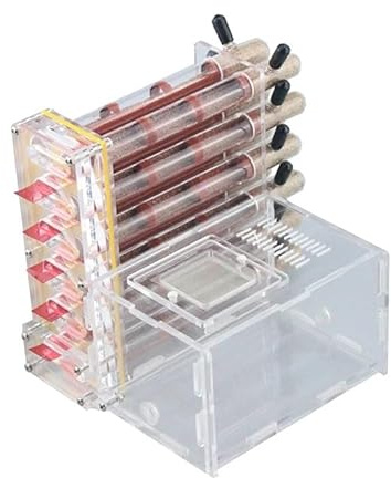 CBFGGOEUDFBS Transparentes Ameisenfarm-Set zur DIY-Beobachtung Einer Ameisenkolonie, Ameisenhaus for Wissenschaftsbegeisterte(Tube Size 18-180mm)