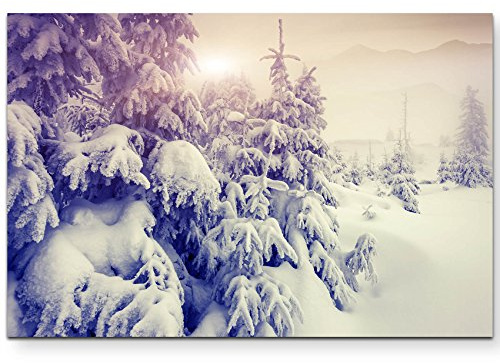 Paul Sinus Art Leinwandbilder | Bilder Leinwand 120x80cm Schneebedeckte Bäume in einer Winterlandschaft