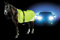 Kerbl Reflektierende Sicherheitsdecke 145 cm, Neon Gelb, Polyester, Pferd, Decke, Sicherheitsdecke für Pferde