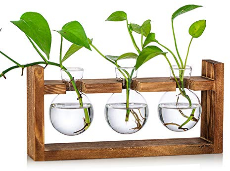 Glasseam Blumenvase Vintage Kleine Vasen Für Tischdeko Modern Glas Reagenzgläser Für Blumen Mit Ständer Holz Propagation Station Für Wohnzimmer Outdoor Taufe Geburtstag Hydroponik Deko