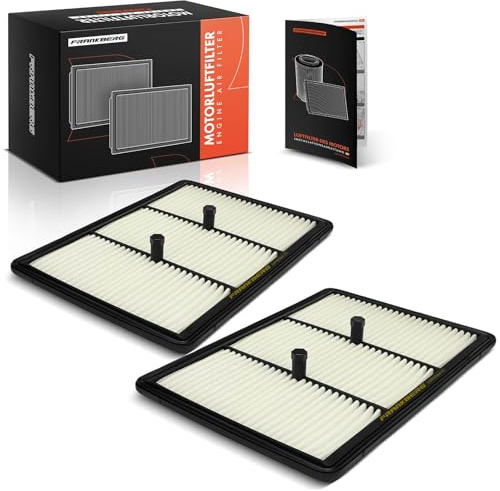 Frankberg 2x Air filter petrol 28113CM100 | Compatible with: Kona Box/SUV OS OSE OSI, Ceed Sportswagon CD, Kona OS OSE OSI, Xceed CD, Niro DE, Xceed Van CD