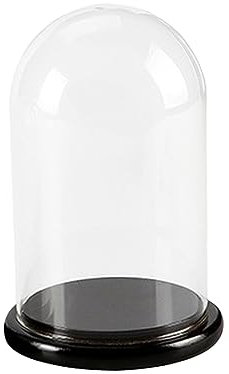 CHICAMPERA Cake Glass Dome and Cover with Wood Base, u Shape Large 60x90mm Handmade Glass Cake Shade Suitable for Dessert Display and Home Baking Random Color