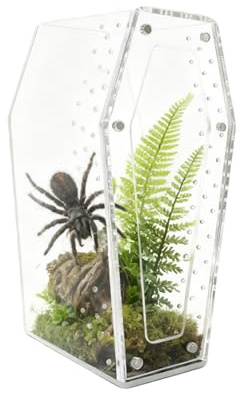 Jumping Spider Terrarium,Genomskinlig Akrylbur För Trädpaddor | Liten Reptiluppfödningslåda | För Lärare Pedagoger Hobbyister Elever Samlare Klassrum Fotostudio Kontor